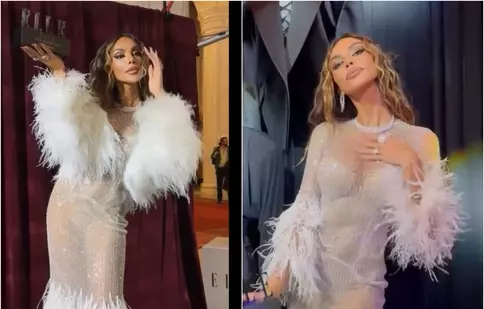 Mădălina Ghenea, apariție sclipitoare la ELLE Style Awards 2025. Ținuta transparentă cu care a întors toate privirile