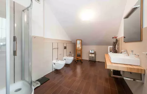 Inspirație pentru baia familiei: cu bideu sau fără?