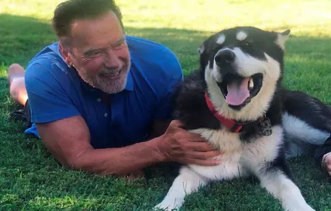 Arnold Schwarzenegger revine! „King Conan”, „Predator” și „Commando 2” sunt în lucru cu starul original. Ce știm până acum despre proiecte