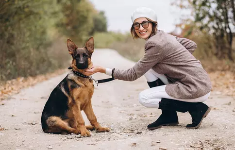 Pet sitting: soluția când pleci și nu vrei să îl lași singur