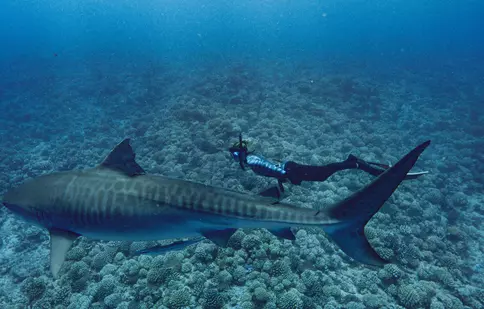 National Geographic aduce în iulie documentare spectaculoase. Tom Hiddleston, Pompeii și SharkFest, printre premiere