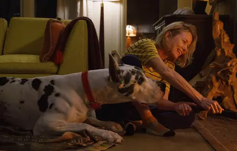 Doamna și dog german-ul: Naomi Watts și Bill Murray, protagoniștii unei drame emoționante pe SkyShowtime