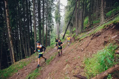 6. Traseu DHL 2018_1