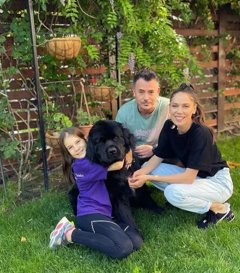 razvan-fodor-mesaj-11