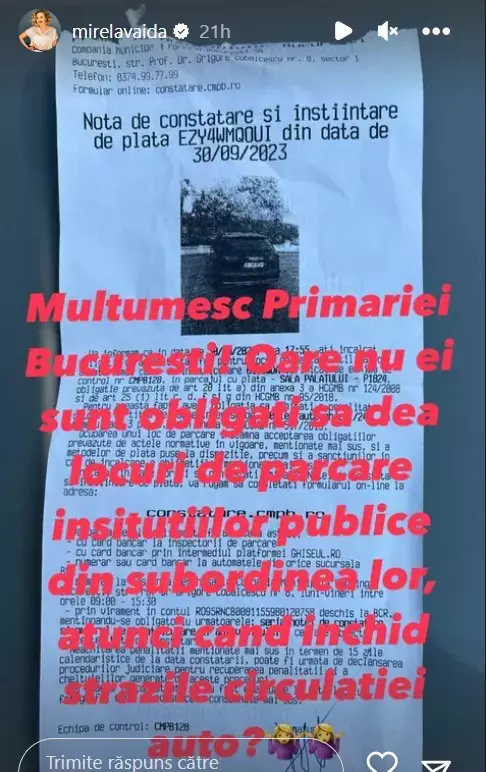 Mirela Vaida, reacție acidă după ce a fost amendată