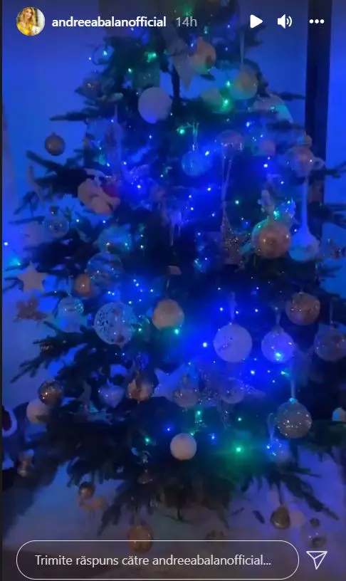 Andreea-Balan-1