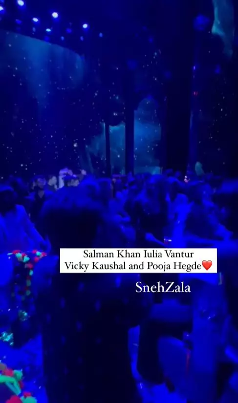 Iulia Vântur și Salman Khan, la nunta anului din India  (5)