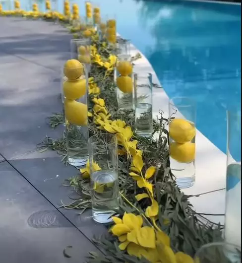decor piscina wd