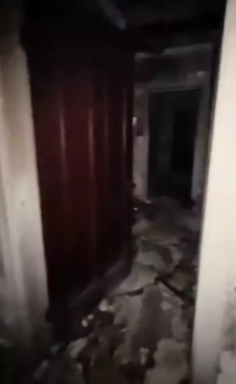 vila Izvorani - Irinel Columbeanu (1)
