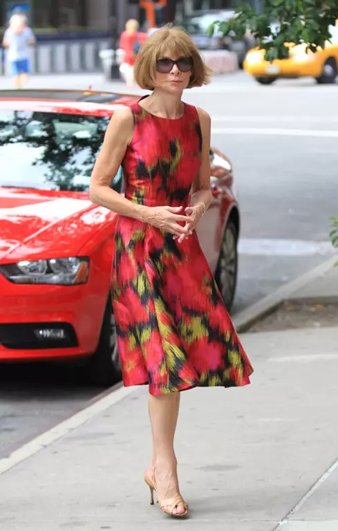 anna-wintour-pantofi-coafura_5.jpg