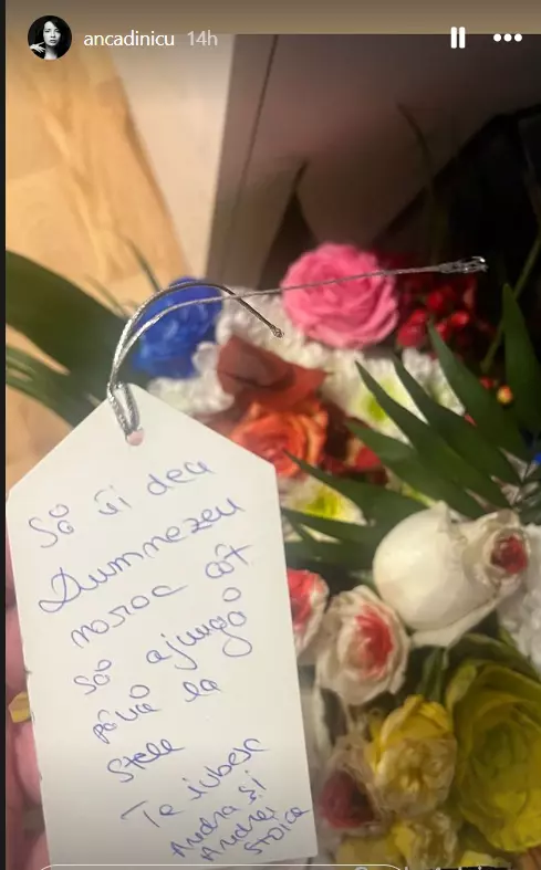 Anca Dinicu a nascut (2)