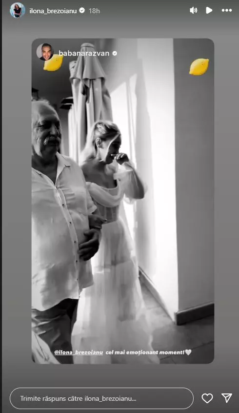 Imagini de la nunta actriței Ilona Brezoianu  (10)