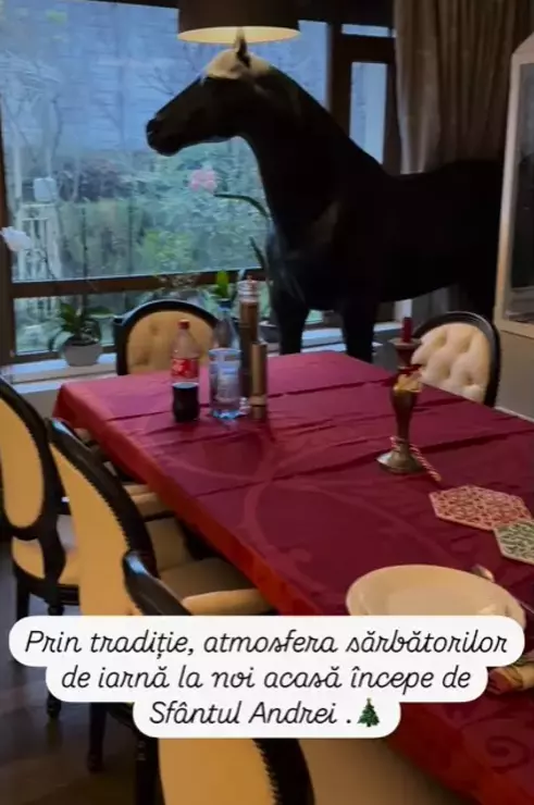 Andreea Marin, casa decorata de Cracin (12)