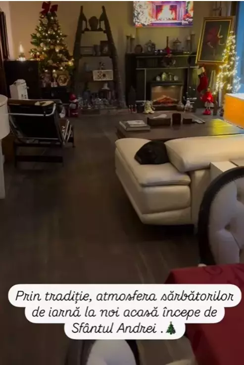 Andreea Marin, casa decorata de Cracin (14)