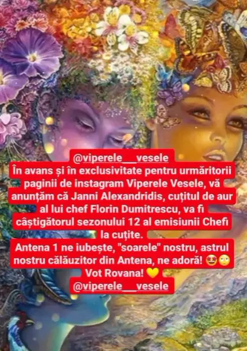 viperele-chefi