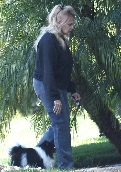 EXCLUSIVE: Screen icon Joey Heatherton, 80, looks unrecognizable compared to her heyday as a 60s sex symbol as she steps out in LA