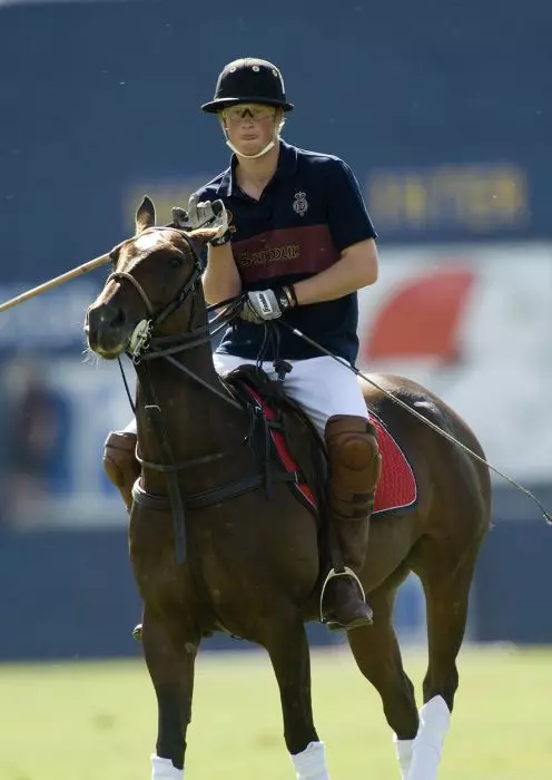 Harry polo