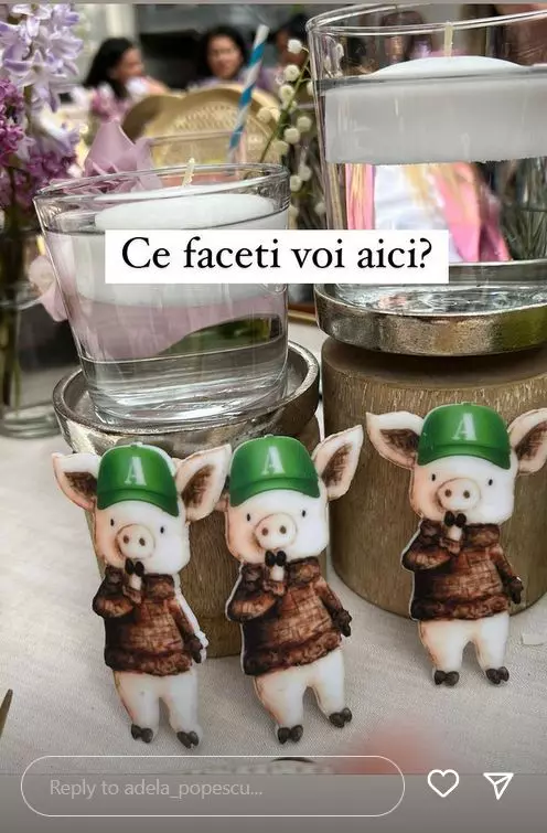 Adela-Popescu-botez9