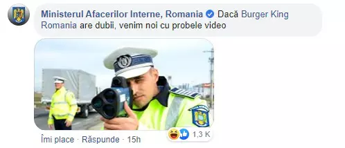 11 Ministerul Afacerilor Interne