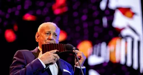 gheorghe zamfir în politica