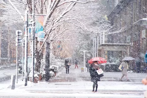 Snow in Tokyo, Japan - 06 Jan 2022