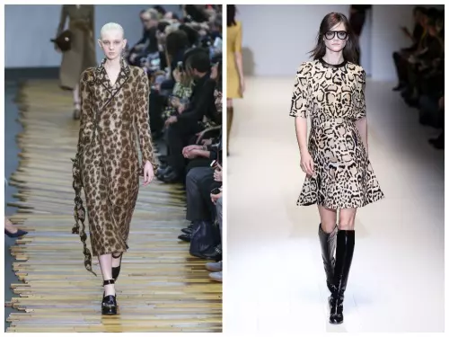 Leopard_03.jpg