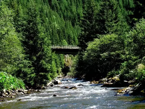 valea-somesului-rece-20101130123721