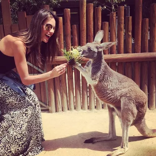 poze-animale-amuzante-vedete-alessandra-mbrosio.jpg