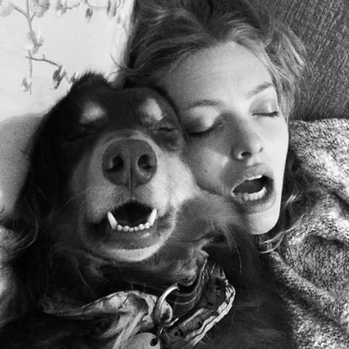 poze-animale-amuzante-vedete-amanda-seyfried.jpg