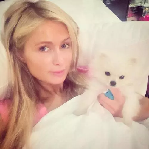 wakeupcall-paris-hilton.jpg