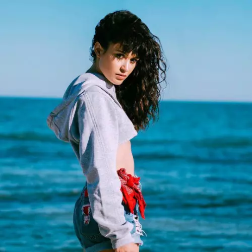 Dosar de stil Irina Rimes