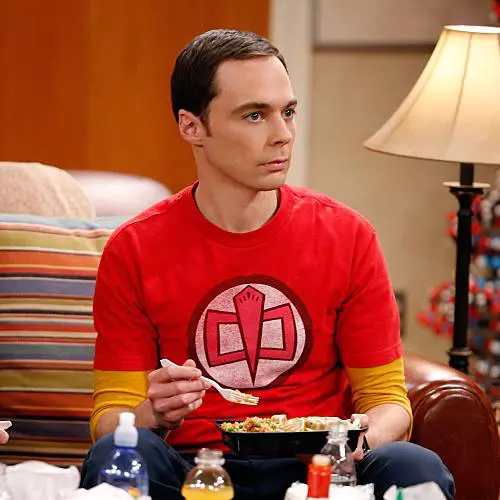The Big Bang Theory