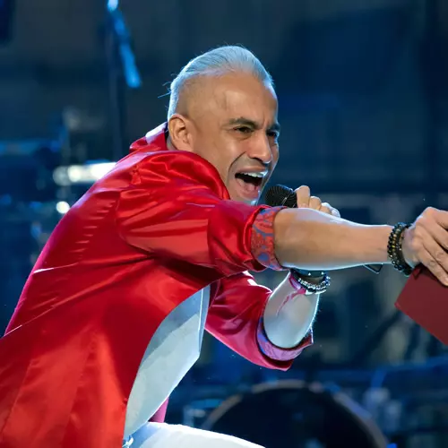 artisti-wilmark-500x500-2