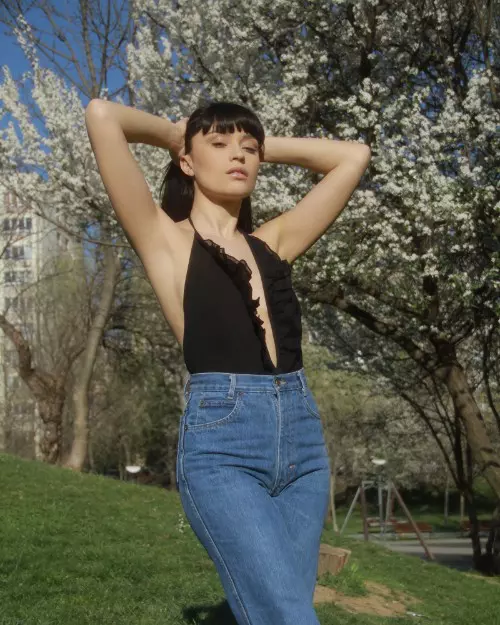 Dosar de stil Irina Rimes