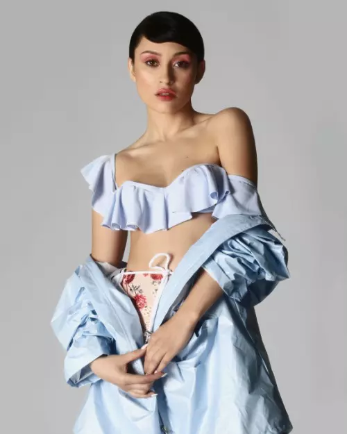 Dosar de stil Irina Rimes