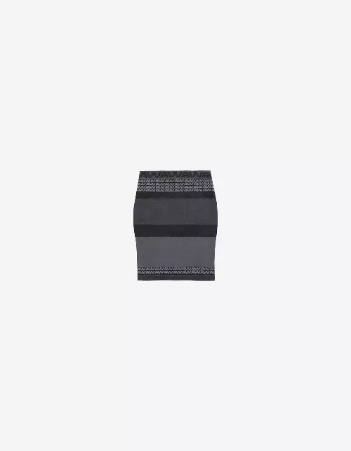 Fusta_Alexander_Wang_x_HM_199_lei.jpg