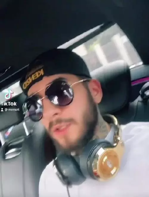 fulgy-masina-500x664