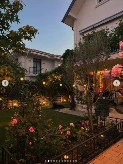 gradina casa fodor