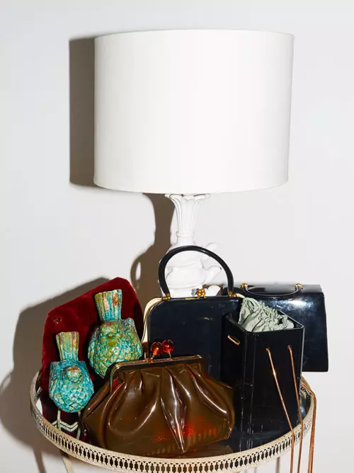 Operațiunea Dulapul cu Alexandra Ungureanu