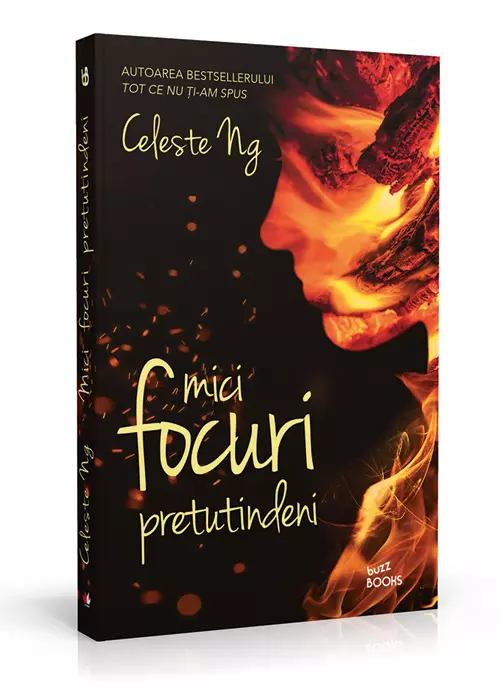 MICI FOCURI, Celeste Ng (editura Litera)