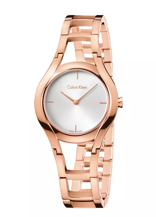 Ceas Calvin Klein, 1.370 lei, reteaua magazinelor Cellini