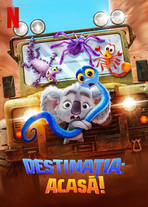 destinatia-acasa