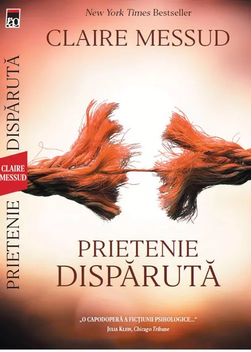 Prietenie dispărută, Claire Messud, editura RAO