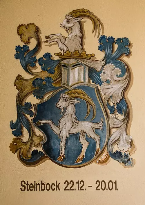 10.capricorn