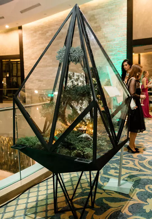 Bradul CRESC Studio & Teilor