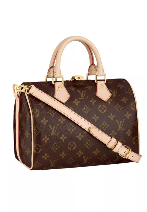 Geanta din piele, Louis Vuitton, 3.040 lei