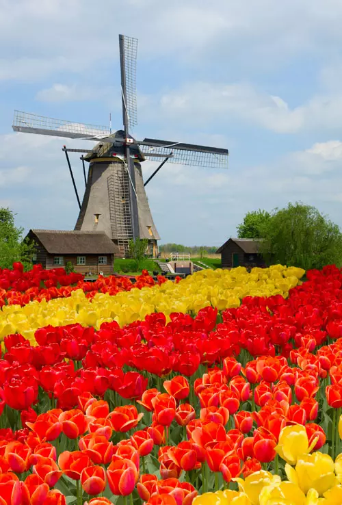 Olanda
