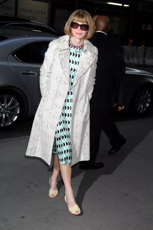 anna-wintour-pantofi-coafura_7.jpg