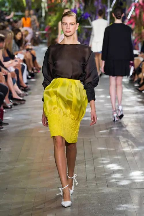 Christian Dior (29)