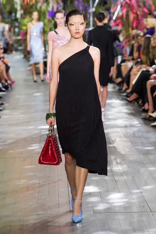 Christian Dior (41)
